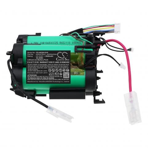 Batterie pour Electrolux 4055478301