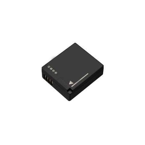 Batterie pour Panasonic DMW-BLE9