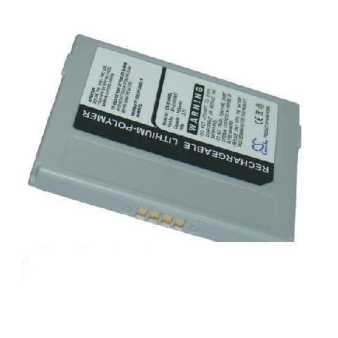 Batterie pour Sanyo G1000